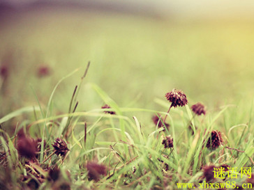 �Ҹ��ľ���