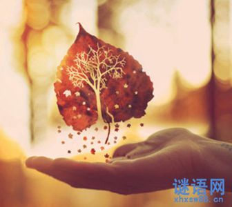 世界上最伤感的句子 人人心中有贱人
