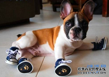 2014Ԫ���ڵ��մ�ȫ���� Ȥζ����