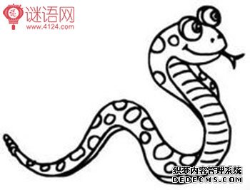 有关蛇的谜语