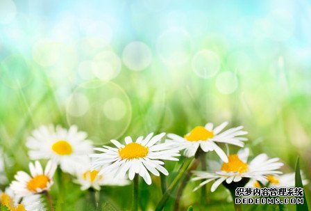 �ƻ������꣨��һ���ܣ�