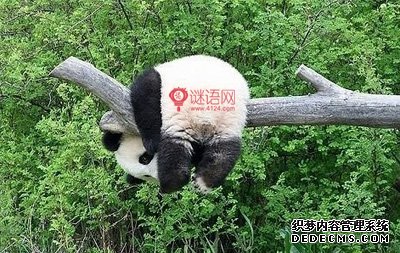 比较难的脑筋急转弯