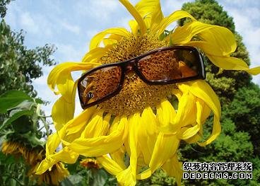 邪恶脑筋急转弯大全