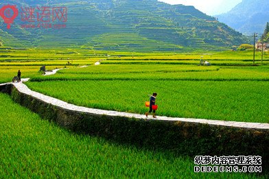田园风光的对联
