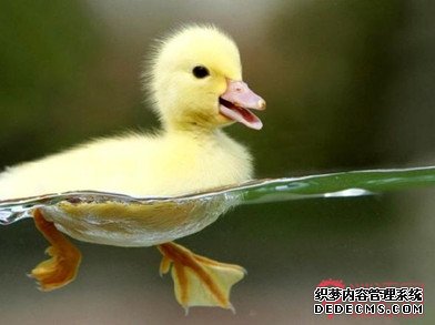 ��Ȥ�Ķ���ͬ�ֲ�ͬ��