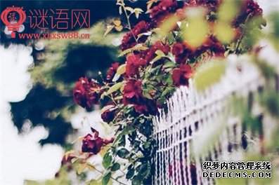 2016元旦对联