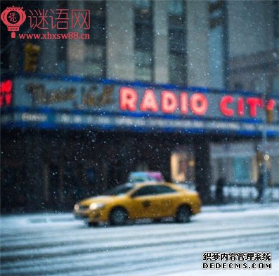 ѧУԪ����������