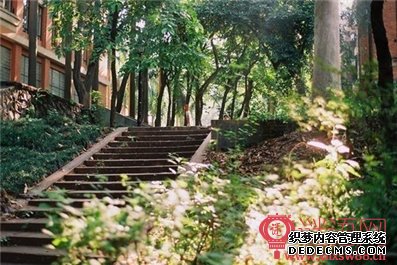 回文联大全小学四年级