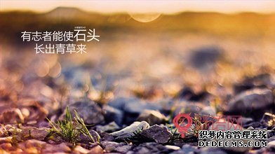 ѧ����־����