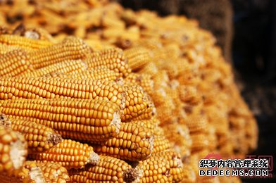 粮仓对联大全