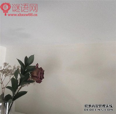 �鱦�����