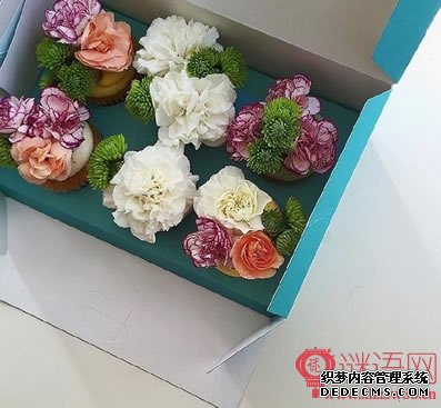 ����ڶ�������