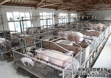 养猪场对联