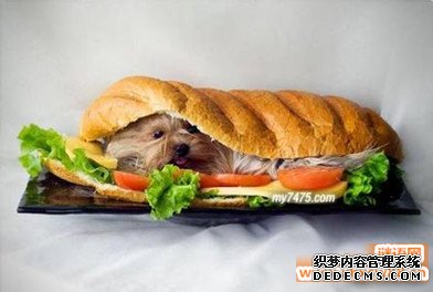 最有趣的对联集锦