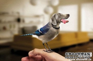 小学生趣味对联