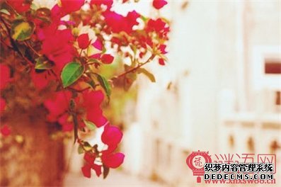 春节对联大全2016