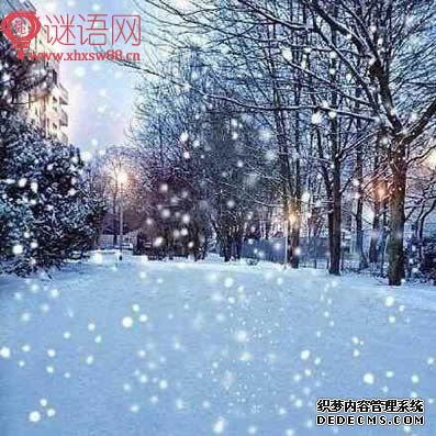 猴年春联七字带横批