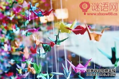2017�괺�ڶ���
