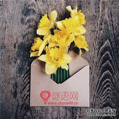 婚庆对联大全