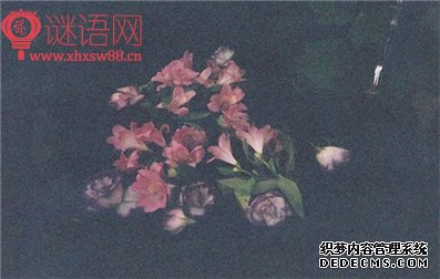 �������յĶ�����ȫ