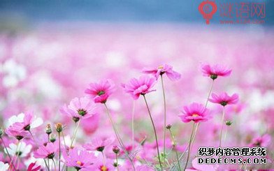 丧联集锦灵堂对联