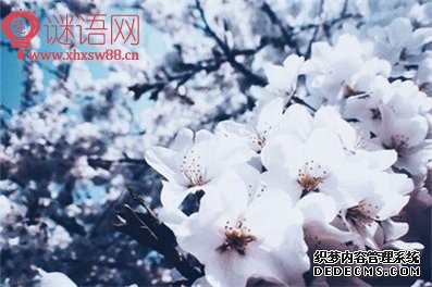 Ĺ��������ȫ����