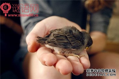 �츸���ö���