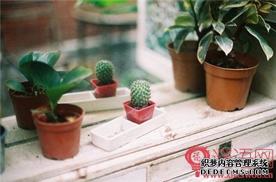 关于教育的名言