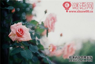 有关于时间的名人名言大全集