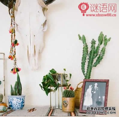 有关于智慧的名人名言