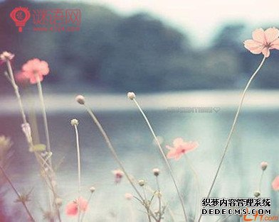 关于生命感悟的名人名言