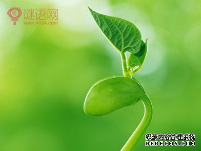 平和心态的名言