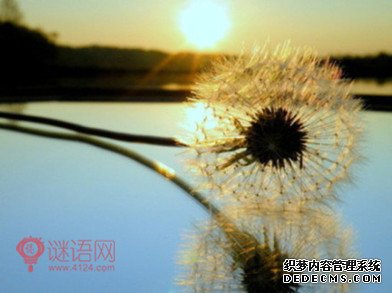 有内涵的名言