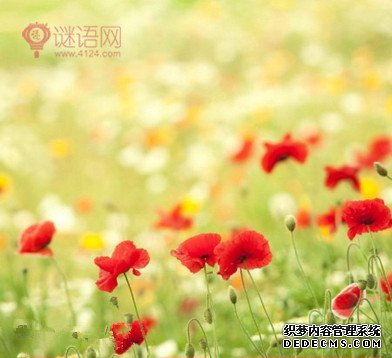 人生方向名言