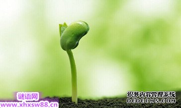 �ذ���������������