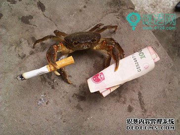 超搞笑一句话语录
