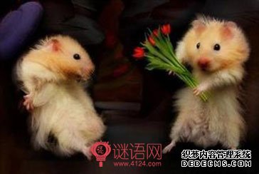 ���˽ڸ�Ц˵˵