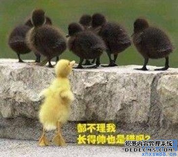 ���˸�Ц�Ļ�