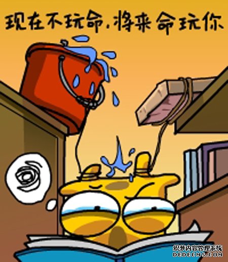 ����¹����