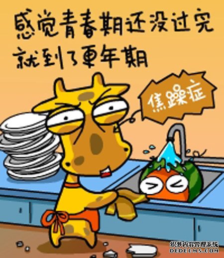 ����¹����