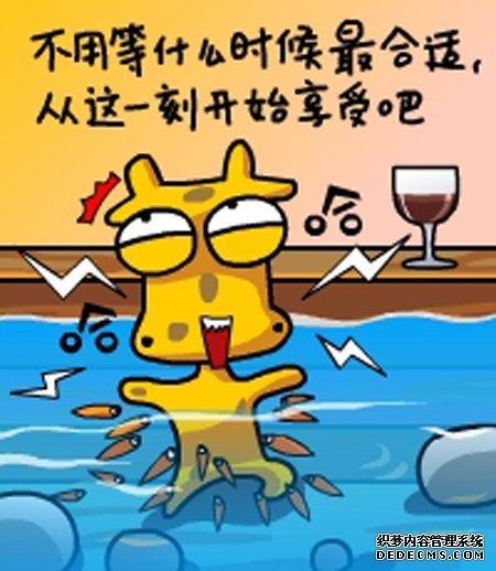 ����¹����