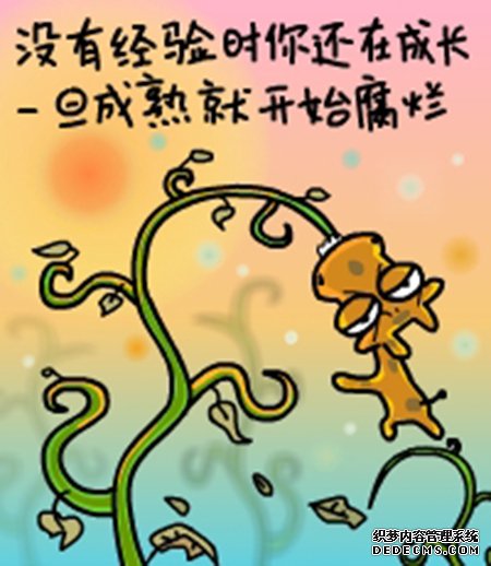 ����¹����