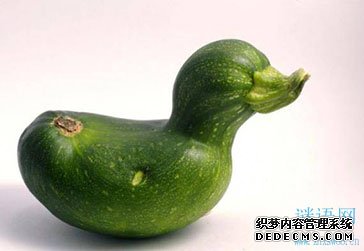 ����������Ц��¼