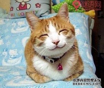��Ц���۱��˵�˵˵
