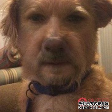 �����Ц��һ�仰