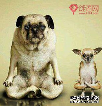 2015һ�仰��Ц��¼