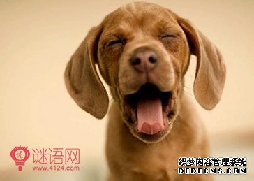 һ�仰��Ц��¼