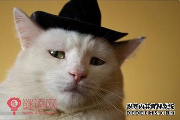 20��һ�仰��Ц��¼