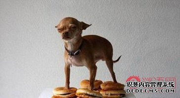 ��ЦЦ��