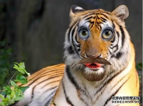 ���㿪��һЦ�ĸ�Ц��¼